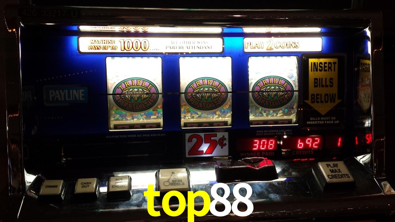 Experiência VIP top88